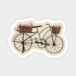 Bicycle Magnet