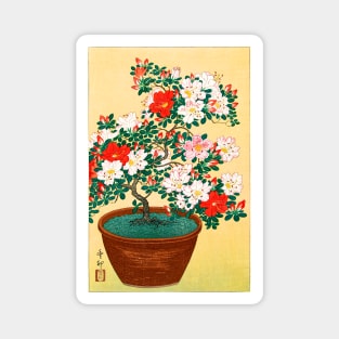 Flowering Azalea in a Pot Japan 1900s Ohara Koson Magnet