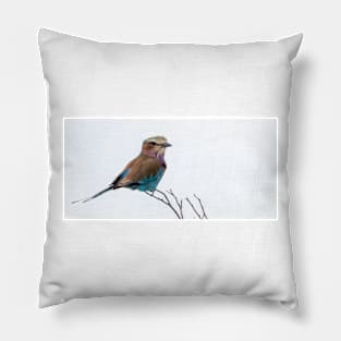 Lilac-breasted roller bird. Pillow