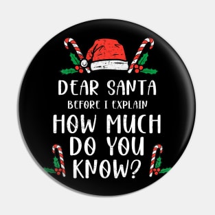 Dear Santa I Can Explain Funny Christmas Pajama Adults Kids Pin