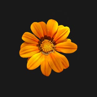 Gazania amarela T-Shirt