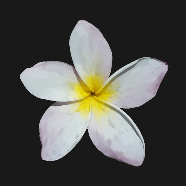 Plumeria Blossom by laceylschmidt