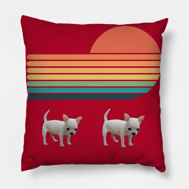 Two tiny chihuahua puppy on sun background Pillow by KA&KO