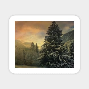 Sunset Snow Forest Magnet