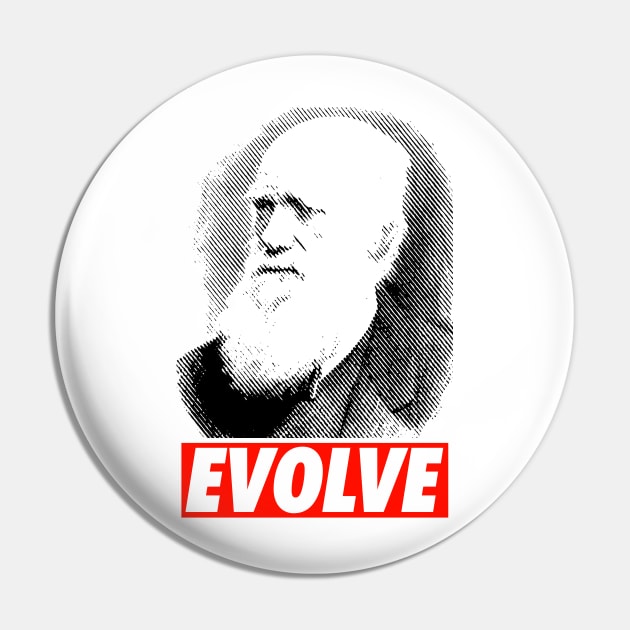 Evolve Pin by SandroAbate