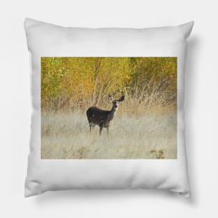Deer, wildlife, Golden Surprise Pillow