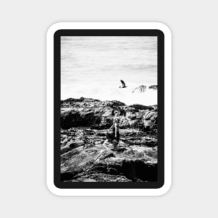 Witch And Raven By The Ocean A Little Mermaid Photo Magnet
