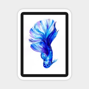 Betta Fish Blue Magnet