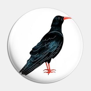 Cornish Chough, Cornwall Pin