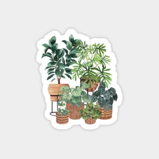 Potted Plants Collection 3 Magnet