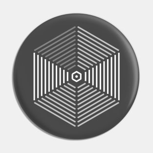 hexagon lines Pin