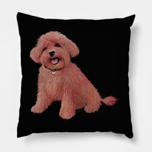 An adorable Apricot or Red Toy Poodle - just the dog.  Perfect! Pillow