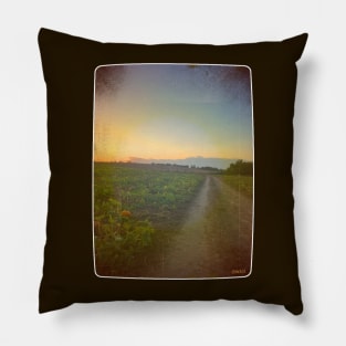 The Road to Autumn Pillow