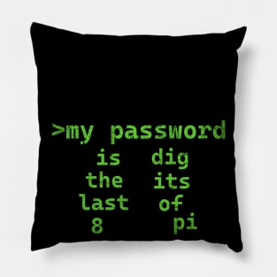 Pi Password Pillow