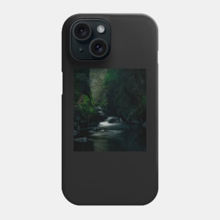 FAIRY GLEN IN PORTRAIT Phone Case