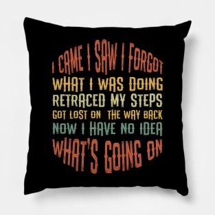 I Came, I Saw, I Forgot What I Was Doing, Retraced My Steps Got Lost on The Way Back Now I Have No Idea What's Going On Pillow