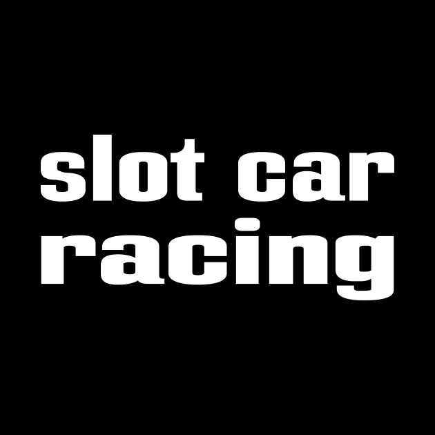 Slot Car Racing by ProjectX23