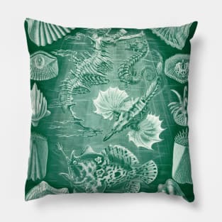 Teleostei by Ernst Haeckel Pillow