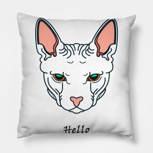 My cat Hello Pillow