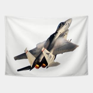 F-15C Eagle afterburner no background Tapestry