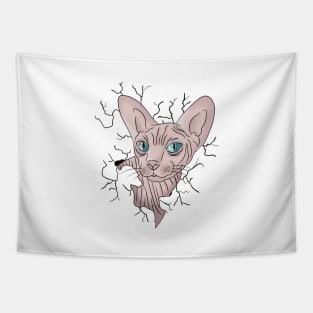 Sphynx Cat lover, funny ,kawai,cute Tapestry