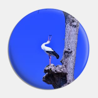 Stork / Swiss Artwork Photography Pin