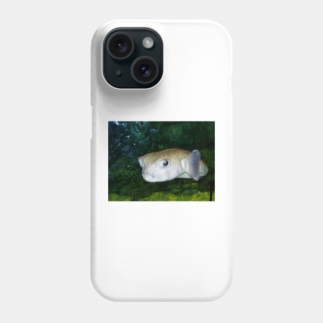 Pout Pout Fish Phone Case by Cynthia48