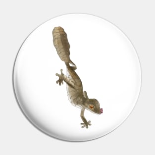 Uroplatus Fimbriatus Pin