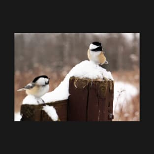 Chickadees Perched in the Snow T-Shirt