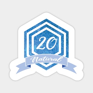 Nat 20 Magnet