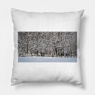 Rural Winter Pillow