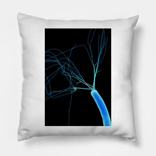 E.coli bacterium, SEM (C026/0505) Pillow