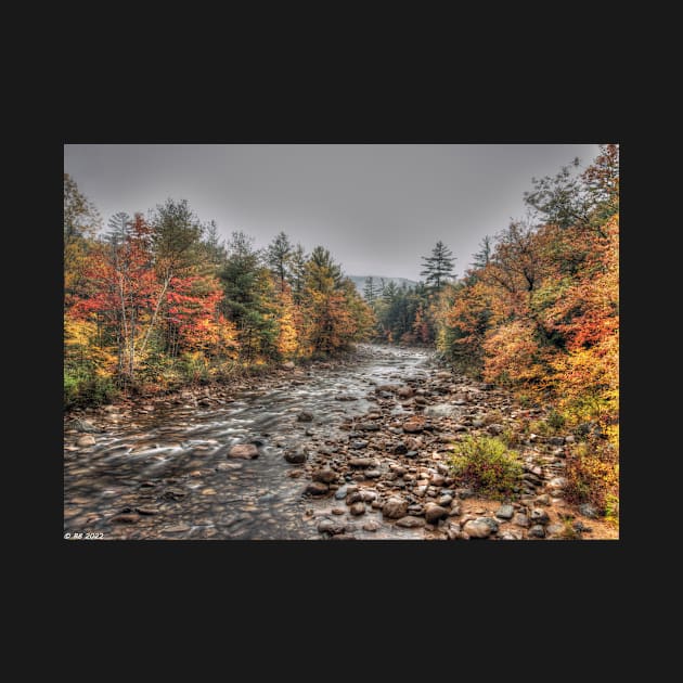 Swift River Autumn by BeanME