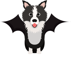 Border Collie Halloween Trick or Treat Magnet