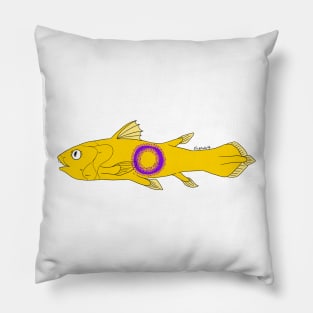 Intersex Pillow