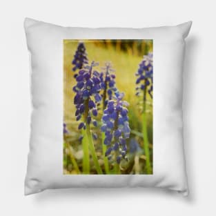 Spring Garden Pillow