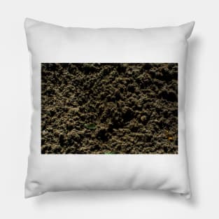 Sand After Rain Pillow