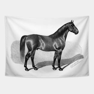 Horse Vintage Black & White Illustration Tapestry