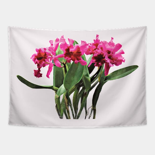 Orchid Chorus Line Tapestry by SusanSavad