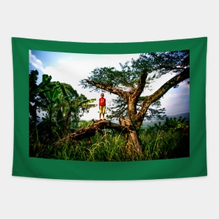 Boy on tree-amazing images Tapestry