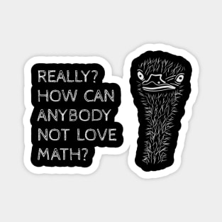 How Can You Not Love Math? Magnet