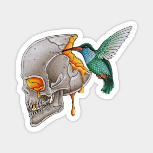 Hummingbird and skull Magnet