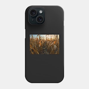 Corn field at sunset Phone Case