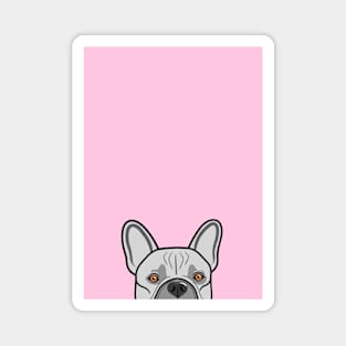 Peek-a-boo French Bulldog Magnet