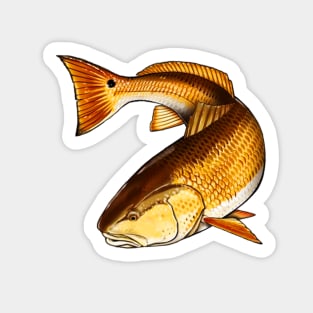 Red Drum Fish Stickers for Sale