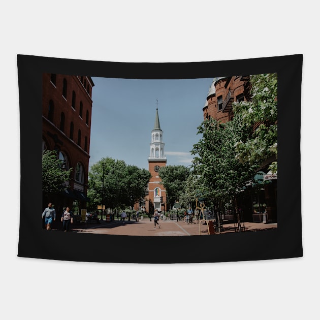 Downtown Burlington Vermont Tapestry by LindsayVaughn