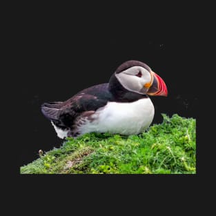 Puffin T-Shirt