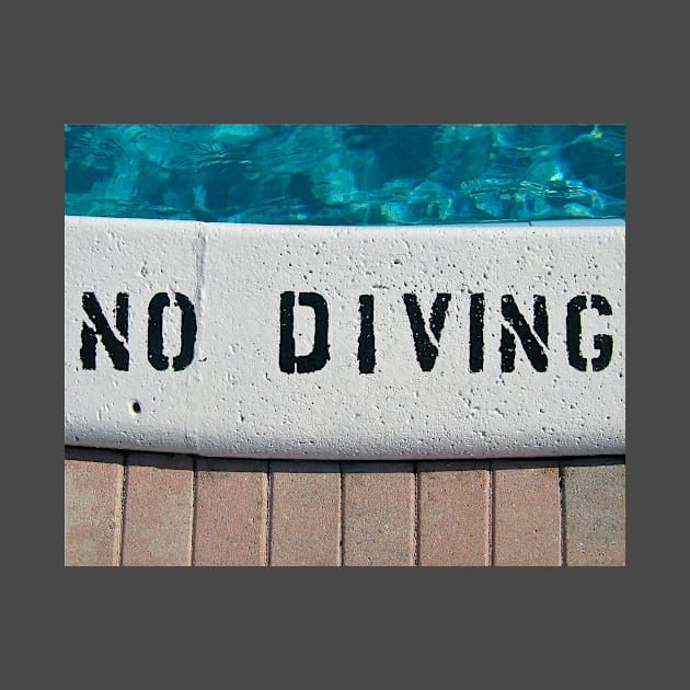 No Diving by DiszBee