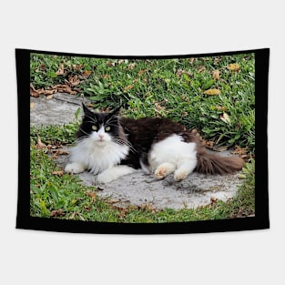 cat Bella Tapestry