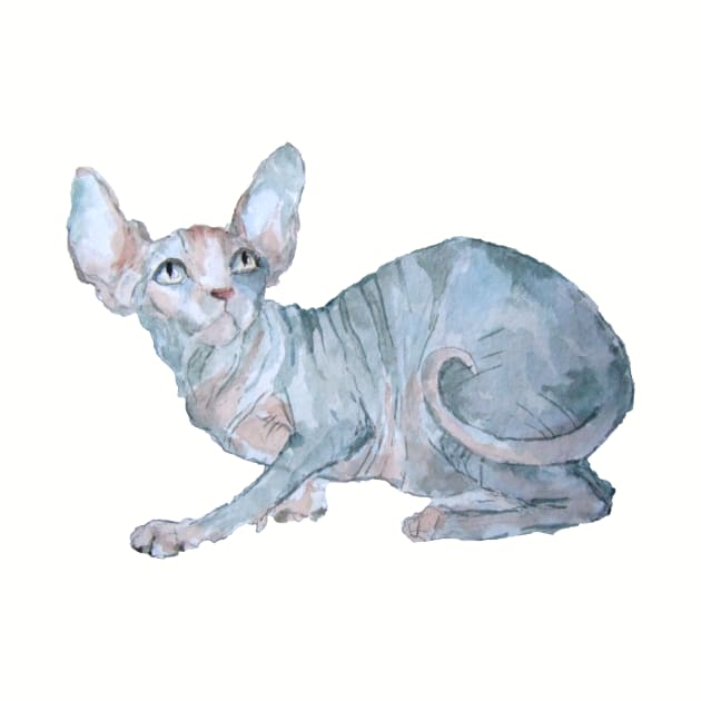 Sphynx cat by Kuhtina